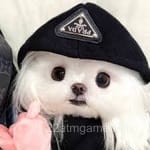 سارہ کے تصویری پروفائل