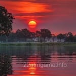 علی کے تصویری پروفائل